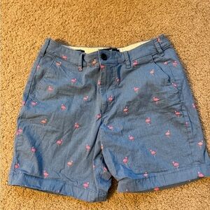Men’s Blue Flamingo Print Shorts